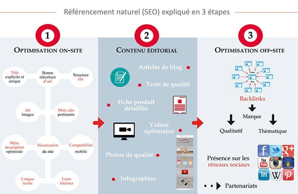 infographie seo