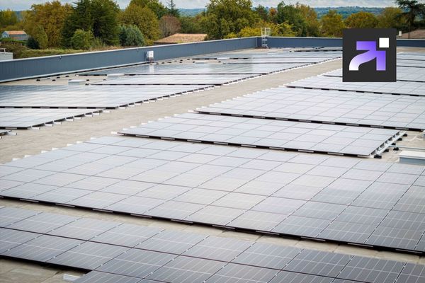 étude de cas social media